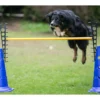 Dog Agility Pylonenhürde Höhenverstellbar Blau 1 Dog Agility Pylonenhürde Höhenverstellbar Blau -Günstiges Hundeshop Geschäft 878518 Product