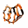 Style Snout Sicherheitsgeschirr Patch & Safe Neon-Orange-Black 2 Style Snout Sicherheitsgeschirr Patch & Safe Neon-Orange-Black -Günstiges Hundeshop Geschäft 878803 Product