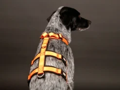 Style Snout Sicherheitsgeschirr Patch & Safe Neon-Orange-Black -Günstiges Hundeshop Geschäft 878804 Product
