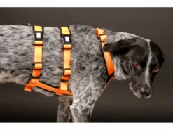 Style Snout Sicherheitsgeschirr Patch & Safe Neon-Orange-Black -Günstiges Hundeshop Geschäft 878805 Product