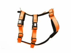 Style Snout Sicherheitsgeschirr Patch & Safe Neon-Orange-Black -Günstiges Hundeshop Geschäft 878806 Product