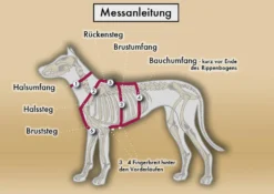 Style Snout Sicherheitsgeschirr Patch & Safe Neon-Orange-Black -Günstiges Hundeshop Geschäft 878984 Product