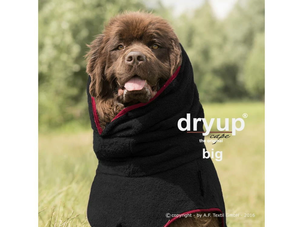 Dryup Cape Hundebademantel BIG Black 3 Dryup Cape Hundebademantel BIG Black