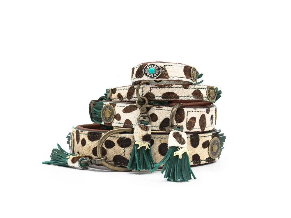 DWAM Ivy Halsband Für Hunde 5 DWAM Ivy Halsband Für Hunde – Bild 3