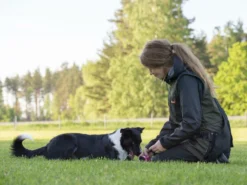 Pinewood® New Dog Sports Damenweste Anthrazit 7 Pinewood® New Dog Sports Damenweste Anthrazit -Günstiges Hundeshop Geschäft 885069 Product