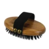 Bamboo Groom Striegel Für Hunde Mit Gummiborsten