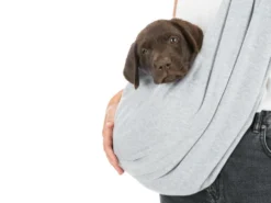 Trixie Junior Fronttasche Soft Tragetasche Für Hunde Hellgrau/mint