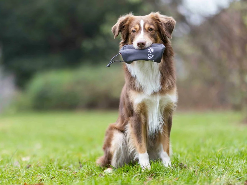 Wolters Walkie Dummy Futterdummy Dunkelgrau 4 Wolters Walkie Dummy Futterdummy Dunkelgrau – Bild 2