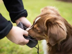 Wolters Walkie Dummy Futterdummy Dunkelgrau 8 Wolters Walkie Dummy Futterdummy Dunkelgrau -Günstiges Hundeshop Geschäft 893310 Product