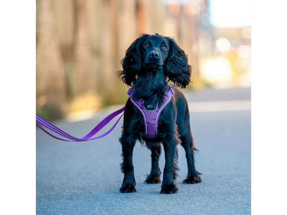 Dog Copenhagen Comfort Walk Go Hundegeschirr Purple Passion 8 Dog Copenhagen Comfort Walk Go Hundegeschirr Purple Passion – Bild 6