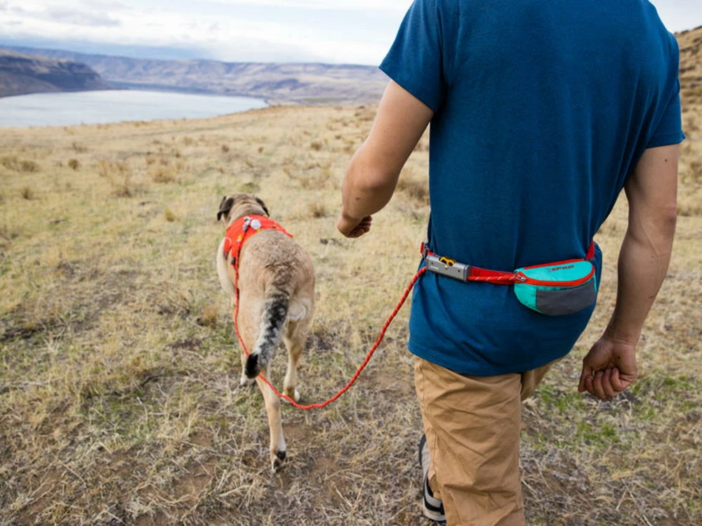 Ruffwear Hitch Hiker Hundeleine Aurora Teal 9 Ruffwear Hitch Hiker Hundeleine Aurora Teal – Bild 7