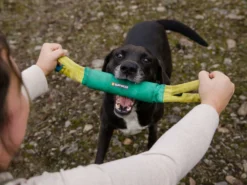 Ruffwear Pacific Loop Hundespielzeug Aurora Teal 8 Ruffwear Pacific Loop Hundespielzeug Aurora Teal -Günstiges Hundeshop Geschäft 902772 Product