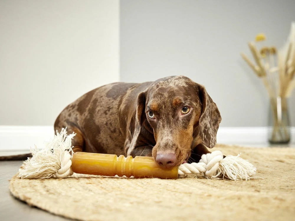 Wolters Pure Nature Flosser Wurf- & Zerr-Spielzeug 4 Wolters Pure Nature Flosser Wurf- & Zerr-Spielzeug – Bild 2