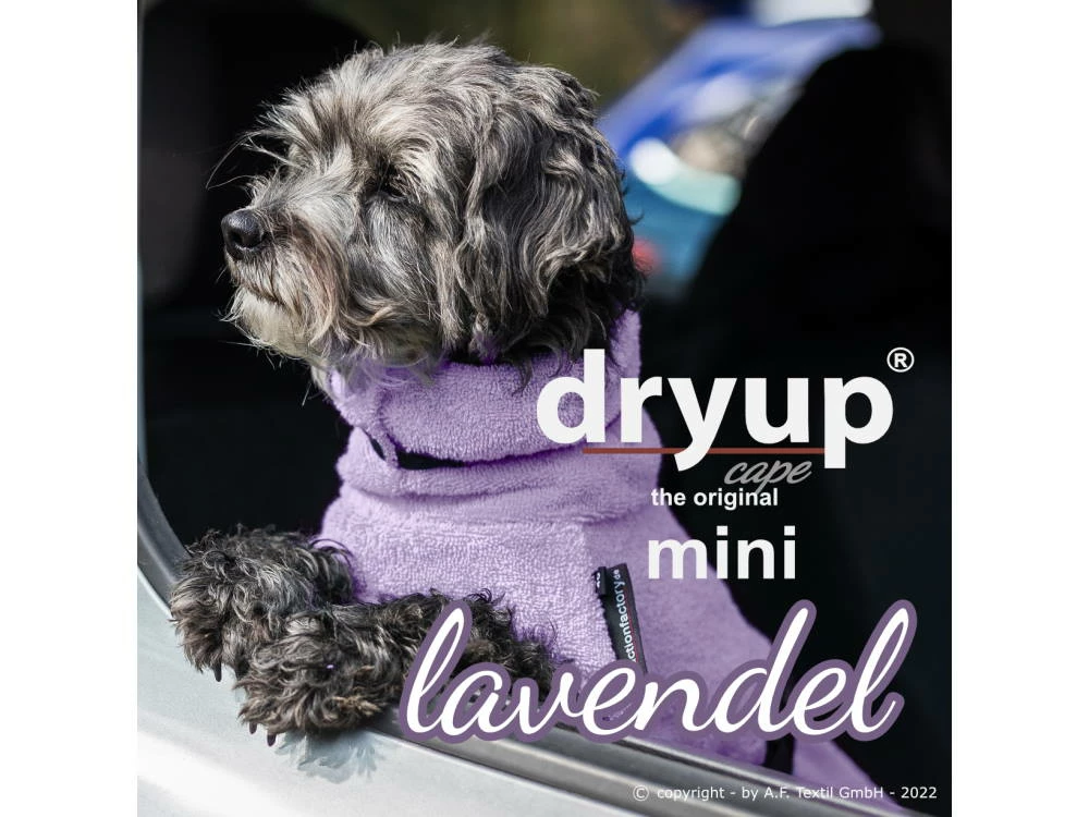 Dryup Cape Hundebademantel Mini Lavendel 4 Dryup Cape Hundebademantel Mini Lavendel – Bild 2