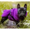 Dryup Cape Hundebademantel Mops Bilberry 2 Dryup Cape Hundebademantel Mops Bilberry -Günstiges Hundeshop Geschäft 906756 Product