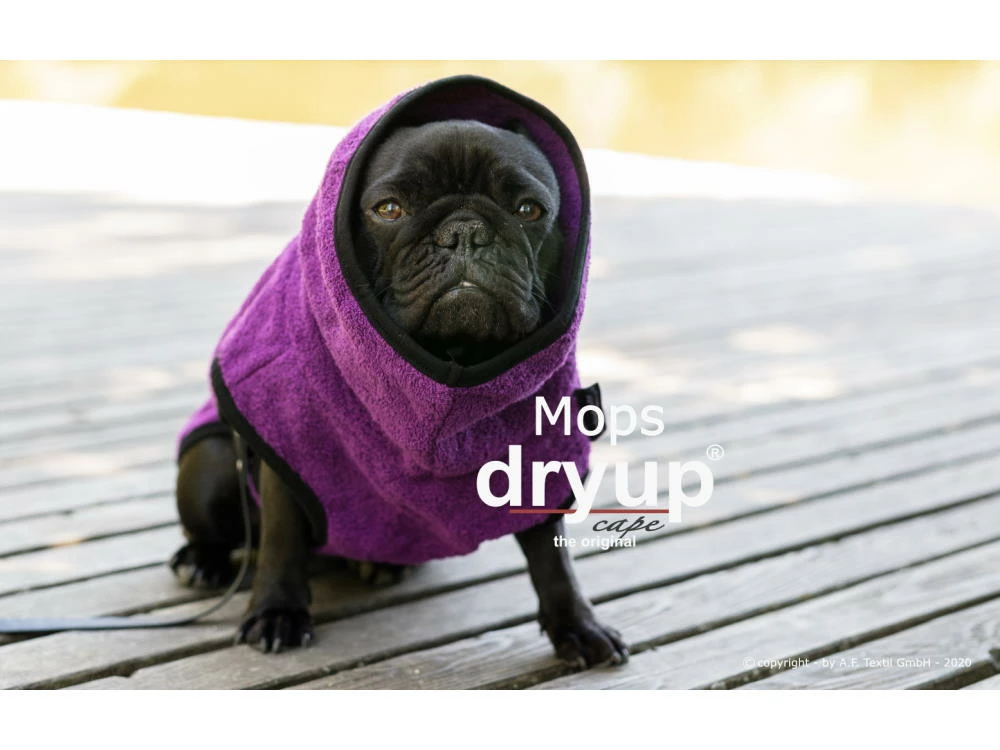 Dryup Cape Hundebademantel Mops Bilberry 4 Dryup Cape Hundebademantel Mops Bilberry – Bild 2