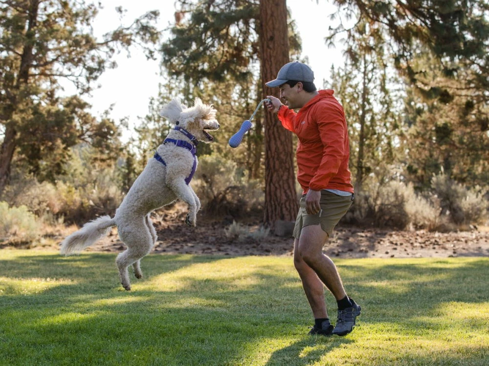 Ruffwear Front Range™ 2.0 Hundegeschirr Purple Sage 7 Ruffwear Front Range™ 2.0 Hundegeschirr Purple Sage – Bild 5