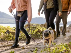 Ruffwear Front Range™ 2.0 Hundeleine Purple Sage 16 Ruffwear Front Range™ 2.0 Hundeleine Purple Sage -Günstiges Hundeshop Geschäft 909899 Product