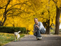 Ruffwear Grip Trex ™ Hundeschuhe Lichen Green -Günstiges Hundeshop Geschäft 910016 Product