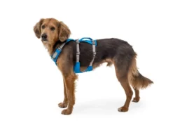 Ruffwear® Flagline™ 2.0 Hundegeschirr Blue Dusk -Günstiges Hundeshop Geschäft 910668 Product