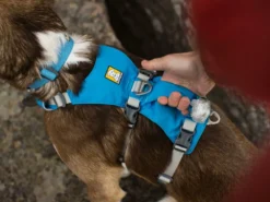 Ruffwear® Flagline™ 2.0 Hundegeschirr Blue Dusk -Günstiges Hundeshop Geschäft 910669 Product