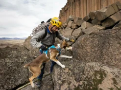 Ruffwear® Flagline™ 2.0 Hundegeschirr Blue Dusk -Günstiges Hundeshop Geschäft 910671 Product