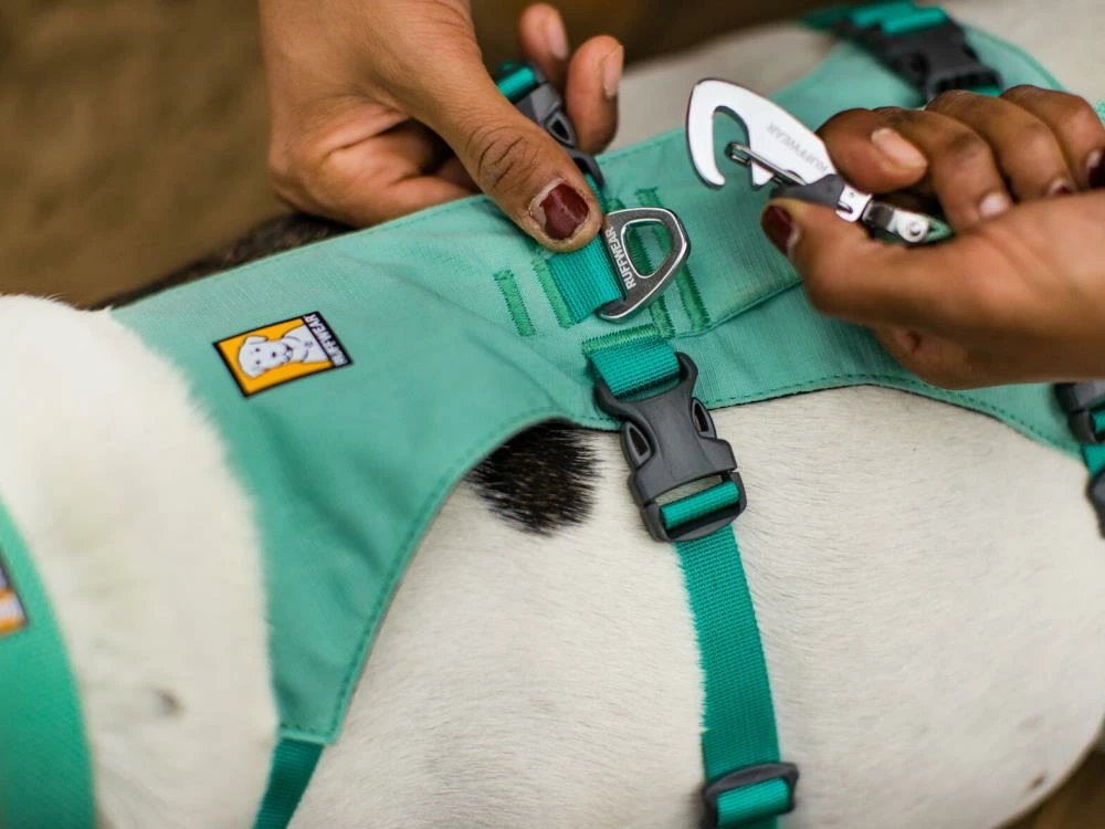 Ruffwear® Flagline™ 2.0 Hundegeschirr Sage Green 6 Ruffwear® Flagline™ 2.0 Hundegeschirr Sage Green – Bild 4