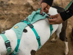 Ruffwear® Flagline™ 2.0 Hundegeschirr Sage Green 14 Ruffwear® Flagline™ 2.0 Hundegeschirr Sage Green -Günstiges Hundeshop Geschäft 911354 Product