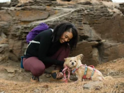 Ruffwear® Flagline™ 2.0 Hundegeschirr Salmon Pink 11 Ruffwear® Flagline™ 2.0 Hundegeschirr Salmon Pink -Günstiges Hundeshop Geschäft 911694 Product