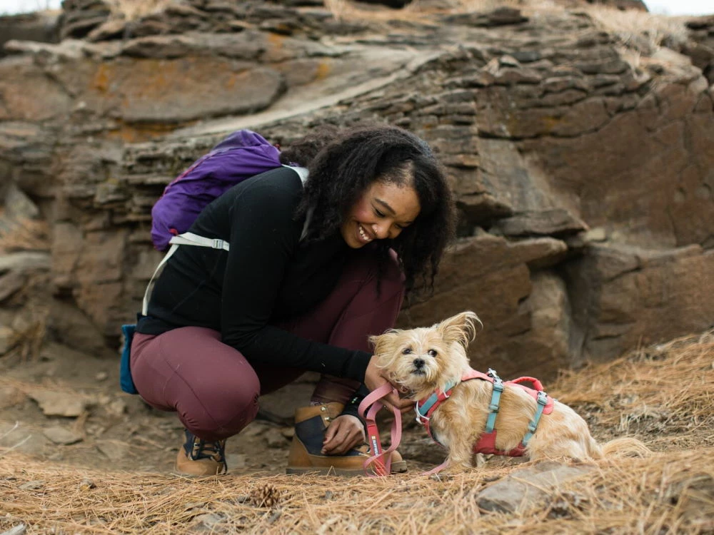 Ruffwear® Flagline™ 2.0 Hundegeschirr Salmon Pink 6 Ruffwear® Flagline™ 2.0 Hundegeschirr Salmon Pink – Bild 4