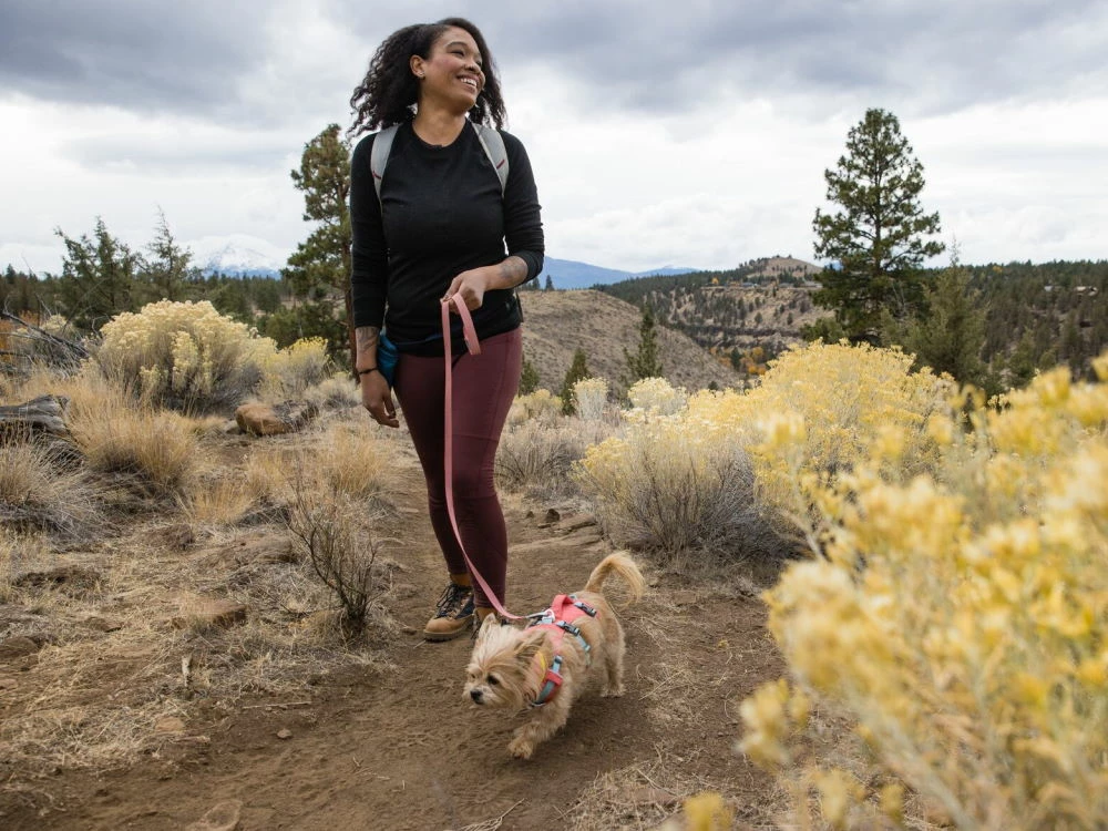 Ruffwear® Flagline™ 2.0 Hundegeschirr Salmon Pink 7 Ruffwear® Flagline™ 2.0 Hundegeschirr Salmon Pink – Bild 5