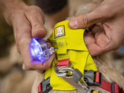 Ruffwear Hi & Light™ Hundegeschirr 2.0 Lichen Green -Günstiges Hundeshop Geschäft 912375 Product