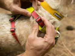 Ruffwear Hi & Light™ Hundegeschirr 2.0 Lichen Green -Günstiges Hundeshop Geschäft 912376 Product