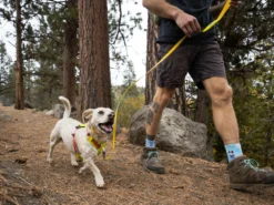 Ruffwear Hi & Light™ Hundegeschirr 2.0 Lichen Green -Günstiges Hundeshop Geschäft 912378 Product