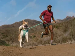 Ruffwear Hi & Light™ Hundegeschirr 2.0 Sage Green 13 Ruffwear Hi & Light™ Hundegeschirr 2.0 Sage Green -Günstiges Hundeshop Geschäft 912930 Product