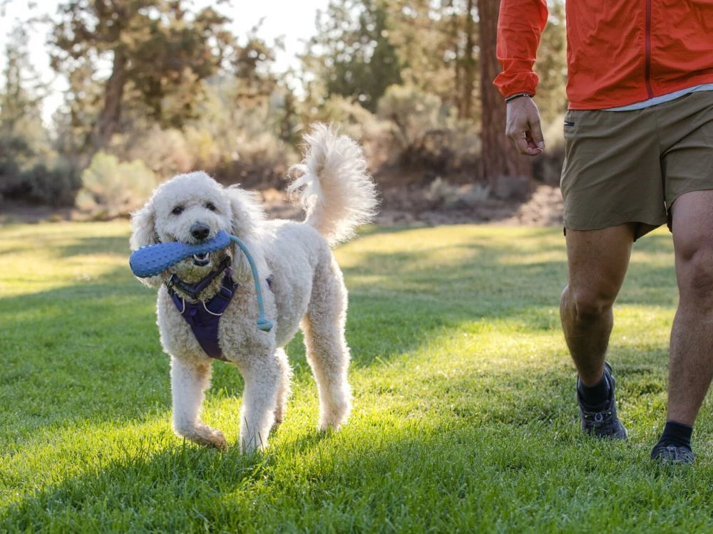 Ruffwear Gourdo™ Hundespielzeug Heliotrope Purple 5 Ruffwear Gourdo™ Hundespielzeug Heliotrope Purple – Bild 3