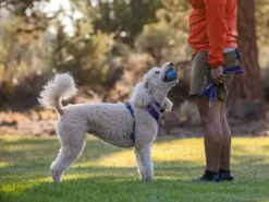 Ruffwear Turnup™ Befüllbares Hundespielzeug Heliotrop Purple -Günstiges Hundeshop Geschäft 915289 Product