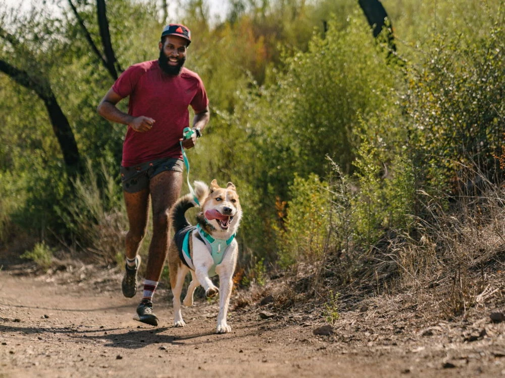 Ruffwear Hi & Light™ Leichte Hundeleine Sage Green 8 Ruffwear Hi & Light™ Leichte Hundeleine Sage Green – Bild 6