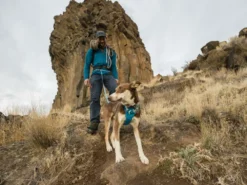 Ruffwear Flagline™ Hundeleine Blue Dusk -Günstiges Hundeshop Geschäft 916374 Product