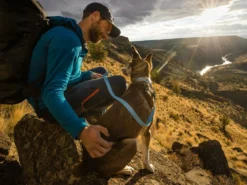 Ruffwear Flagline™ Hundeleine Blue Dusk -Günstiges Hundeshop Geschäft 916375 Product