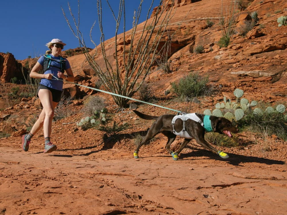 Ruffwear Flagline™ Hundeleine Sage Green 11 Ruffwear Flagline™ Hundeleine Sage Green – Bild 9