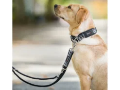 Wolters Active Pro Führleine Schwarz/schwarz 7 Wolters Active Pro Führleine Schwarz/schwarz -Günstiges Hundeshop Geschäft 916734 Product