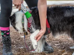 Kurgo Mud Dog Reisedusche 11 Kurgo Mud Dog Reisedusche -Günstiges Hundeshop Geschäft 919532 Product