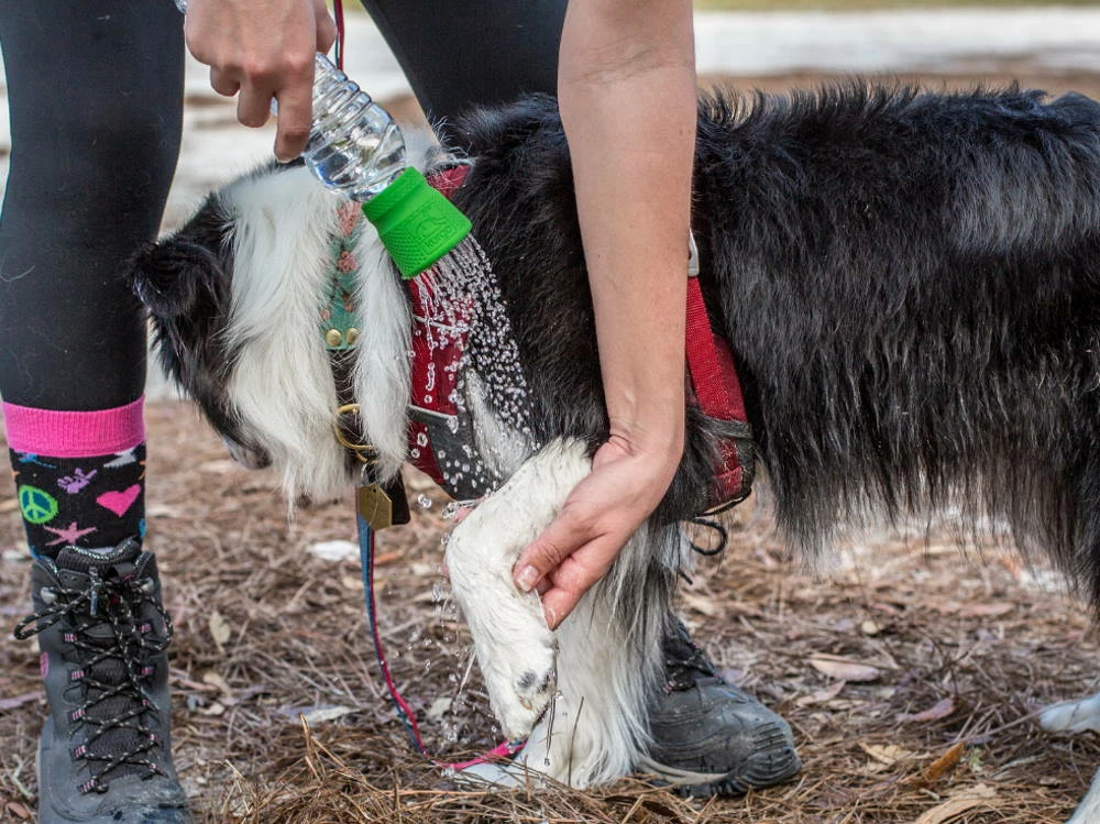 Kurgo Mud Dog Reisedusche 7 Kurgo Mud Dog Reisedusche – Bild 5