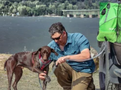 Kurgo Go Shower Dusche Für Unterwegs 19 Kurgo Go Shower Dusche Für Unterwegs -Günstiges Hundeshop Geschäft 919542 Product