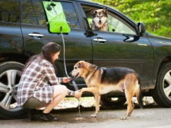 Kurgo Go Shower Dusche Für Unterwegs 20 Kurgo Go Shower Dusche Für Unterwegs -Günstiges Hundeshop Geschäft 919543 Product