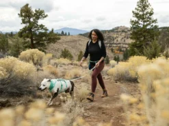 Ruffwear Swamp Cooler Kühlendes Halstuch Aurora Teal/ Heliotrope Purple 12 Ruffwear Swamp Cooler Kühlendes Halstuch Aurora Teal/ Heliotrope Purple -Günstiges Hundeshop Geschäft 919573 Product