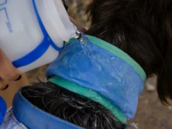 Ruffwear Swamp Cooler Kühlendes Halstuch Aurora Teal/ Heliotrope Purple 13 Ruffwear Swamp Cooler Kühlendes Halstuch Aurora Teal/ Heliotrope Purple -Günstiges Hundeshop Geschäft 919574 Product