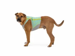 Ruffwear Swamp Cooler Zip Kühlweste Für Hunde Blue Mist 15 Ruffwear Swamp Cooler Zip Kühlweste Für Hunde Blue Mist -Günstiges Hundeshop Geschäft 920136 Product