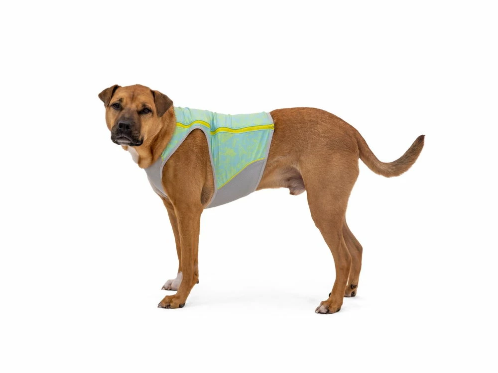 Ruffwear Swamp Cooler Zip Kühlweste Für Hunde Blue Mist 7 Ruffwear Swamp Cooler Zip Kühlweste Für Hunde Blue Mist – Bild 5